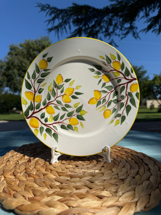 Assiette ⌀26cm
