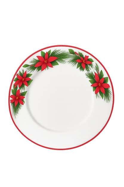 Assiette 26 cm avec rebord
